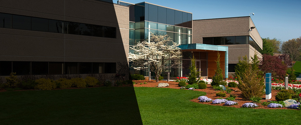 Santa Barbara Landscapers