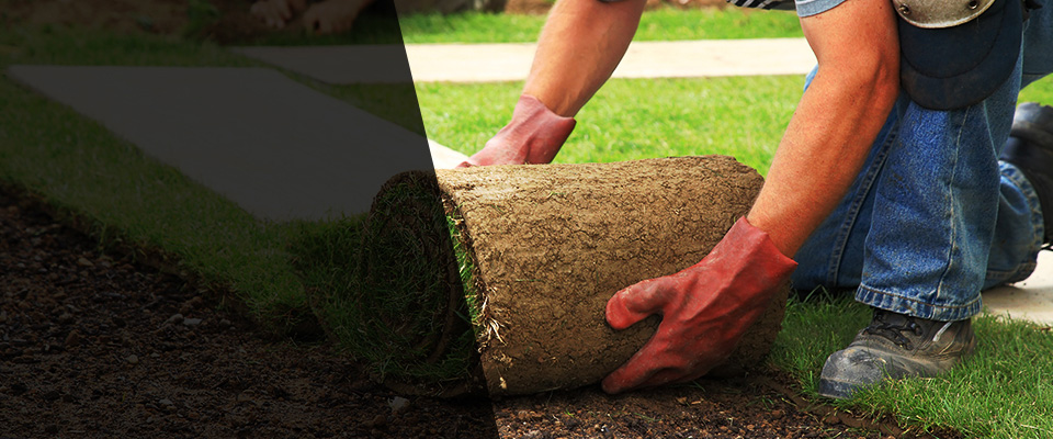 Santa Barbara Landscapers